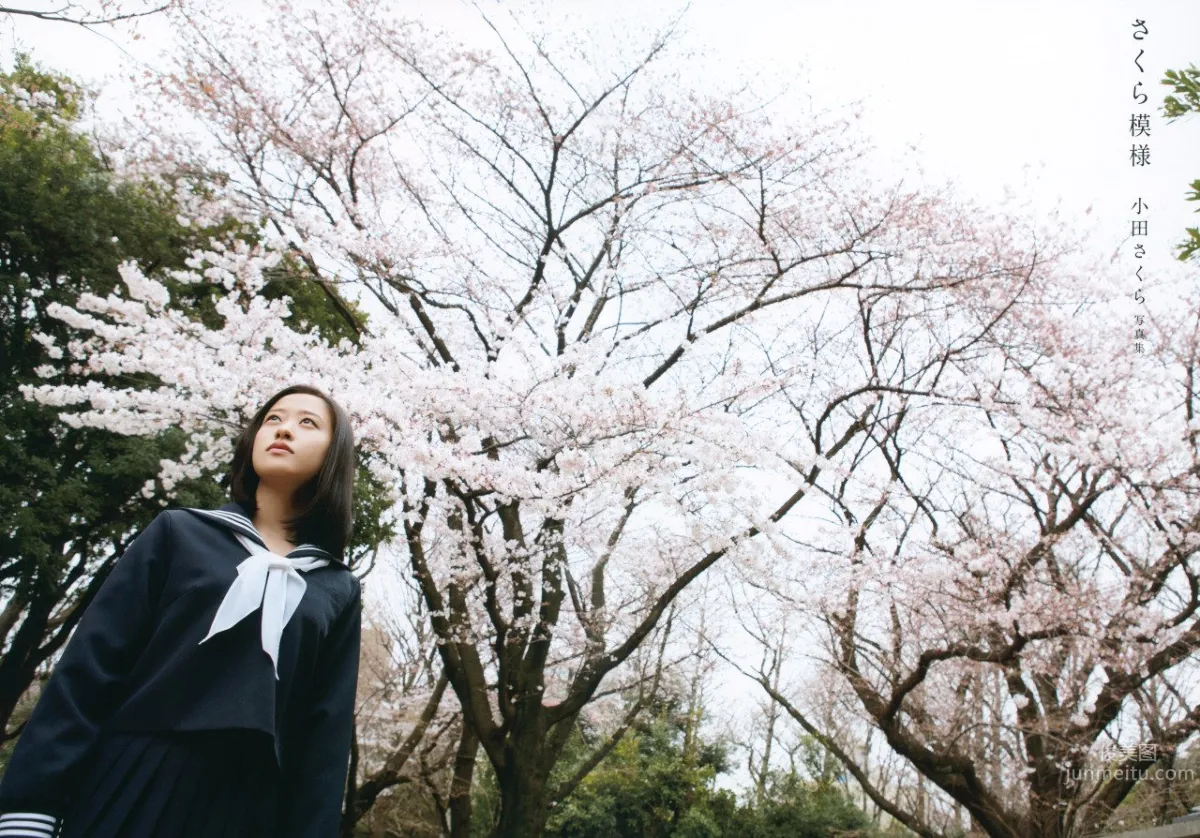 Sakura Oda, 16-Year-Old Beauty with the Face of 32 photo 11