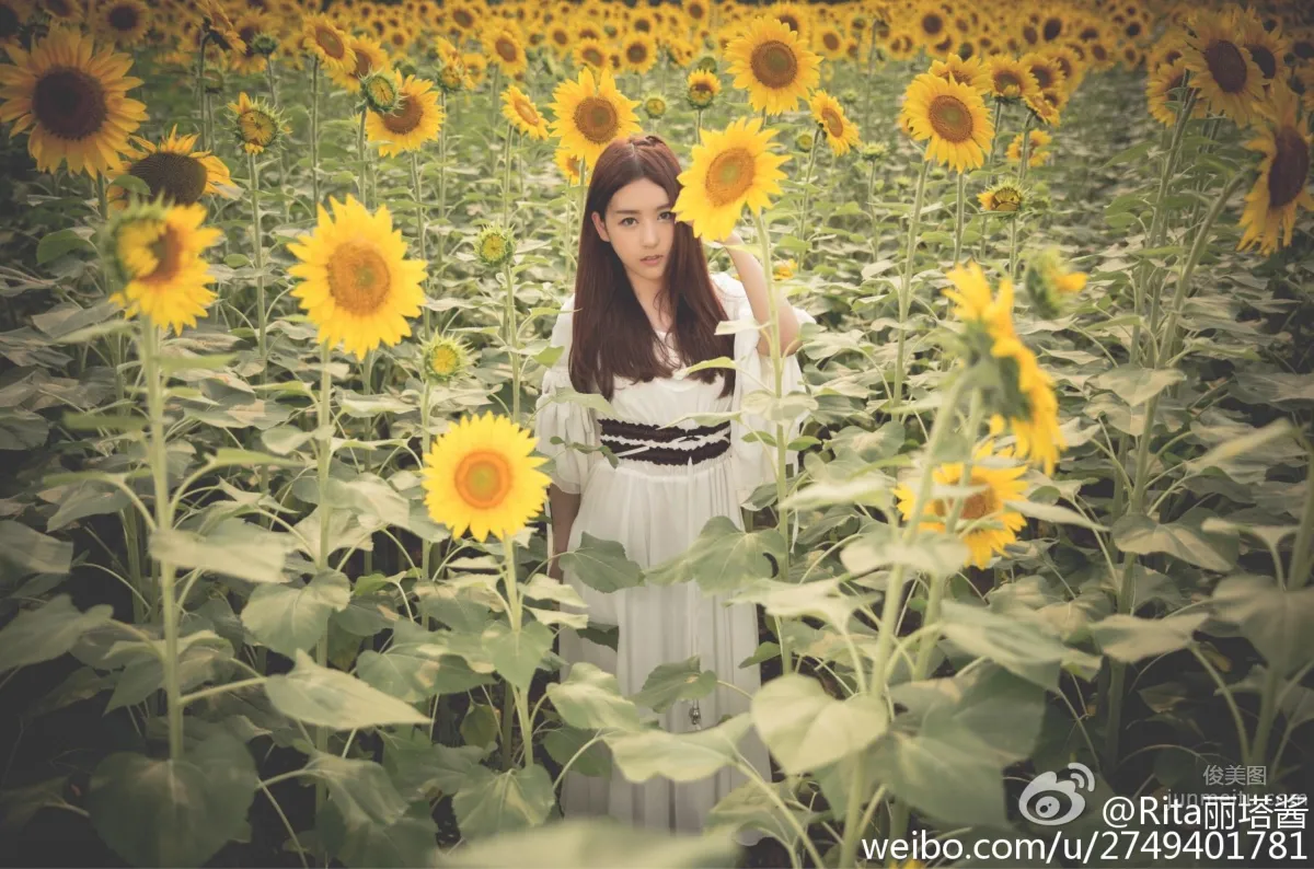 Feng Yu: LOL support SG photo 19
