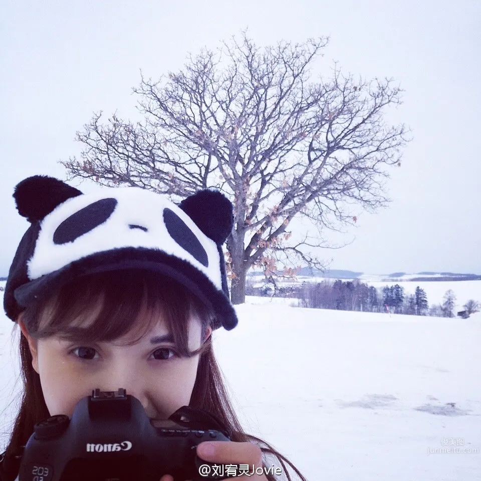 Liu Youling: Jovie photo 16