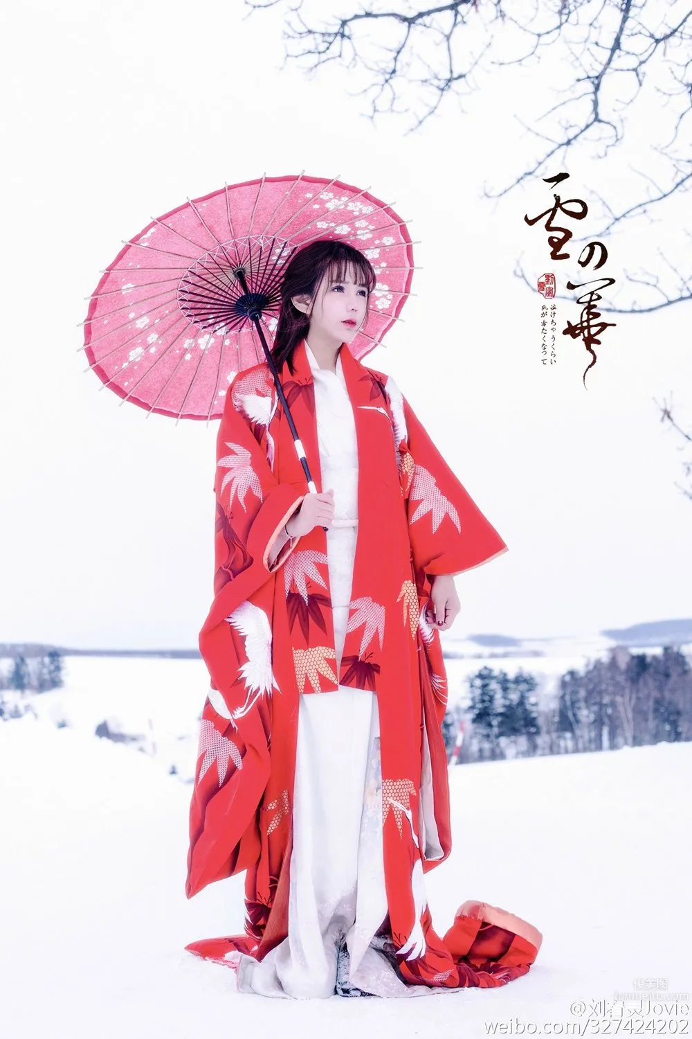 Liu Youling: Jovie photo 6