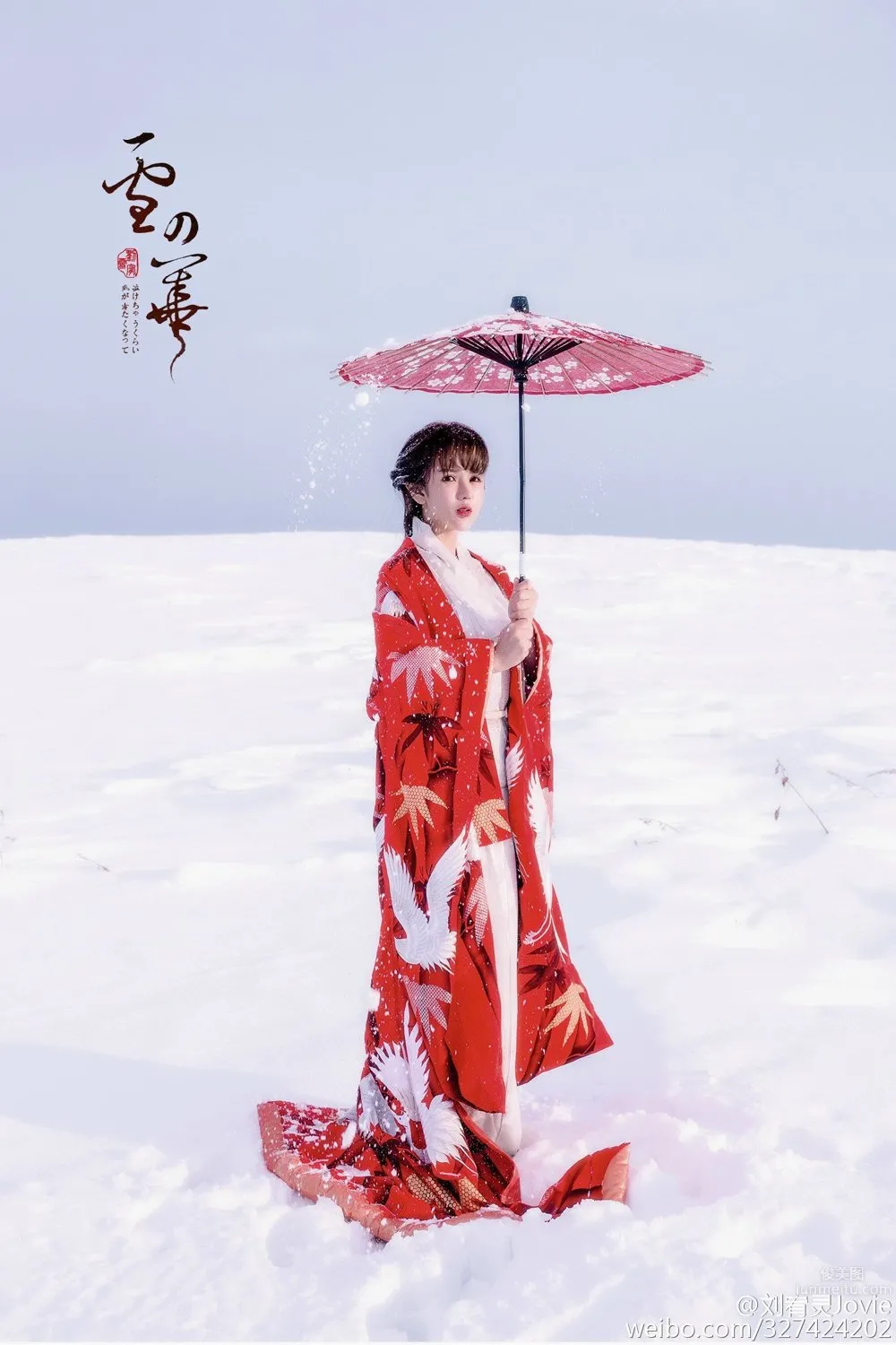 Liu Youling: Jovie photo 8
