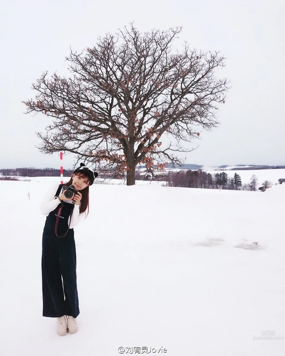 Liu Youling: Jovie photo 14