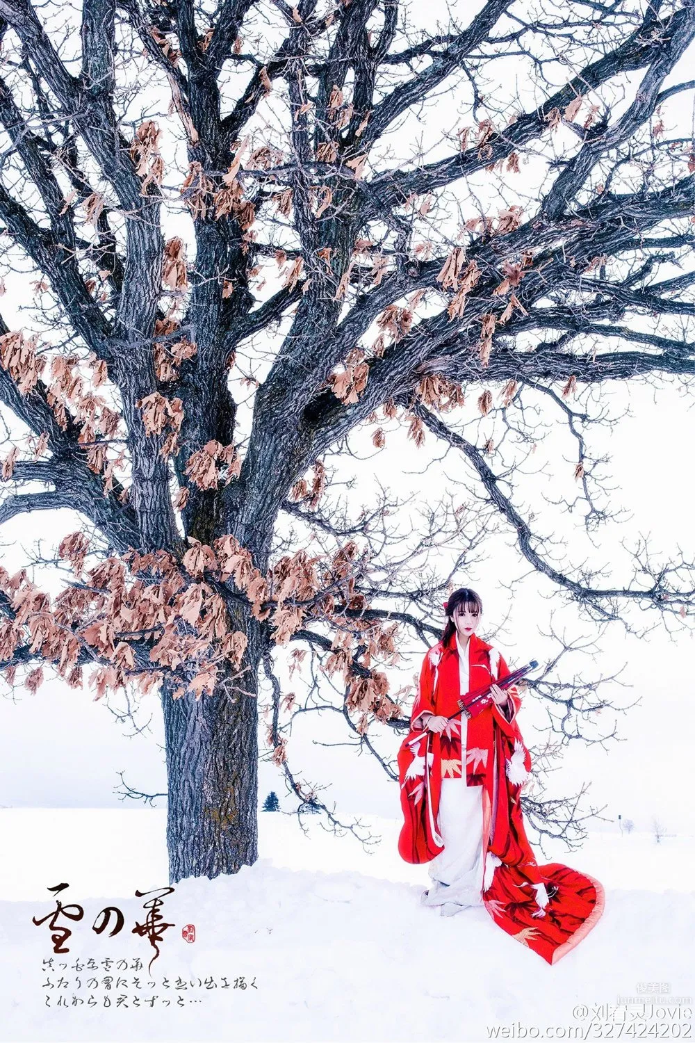 Liu Youling: Jovie photo 7