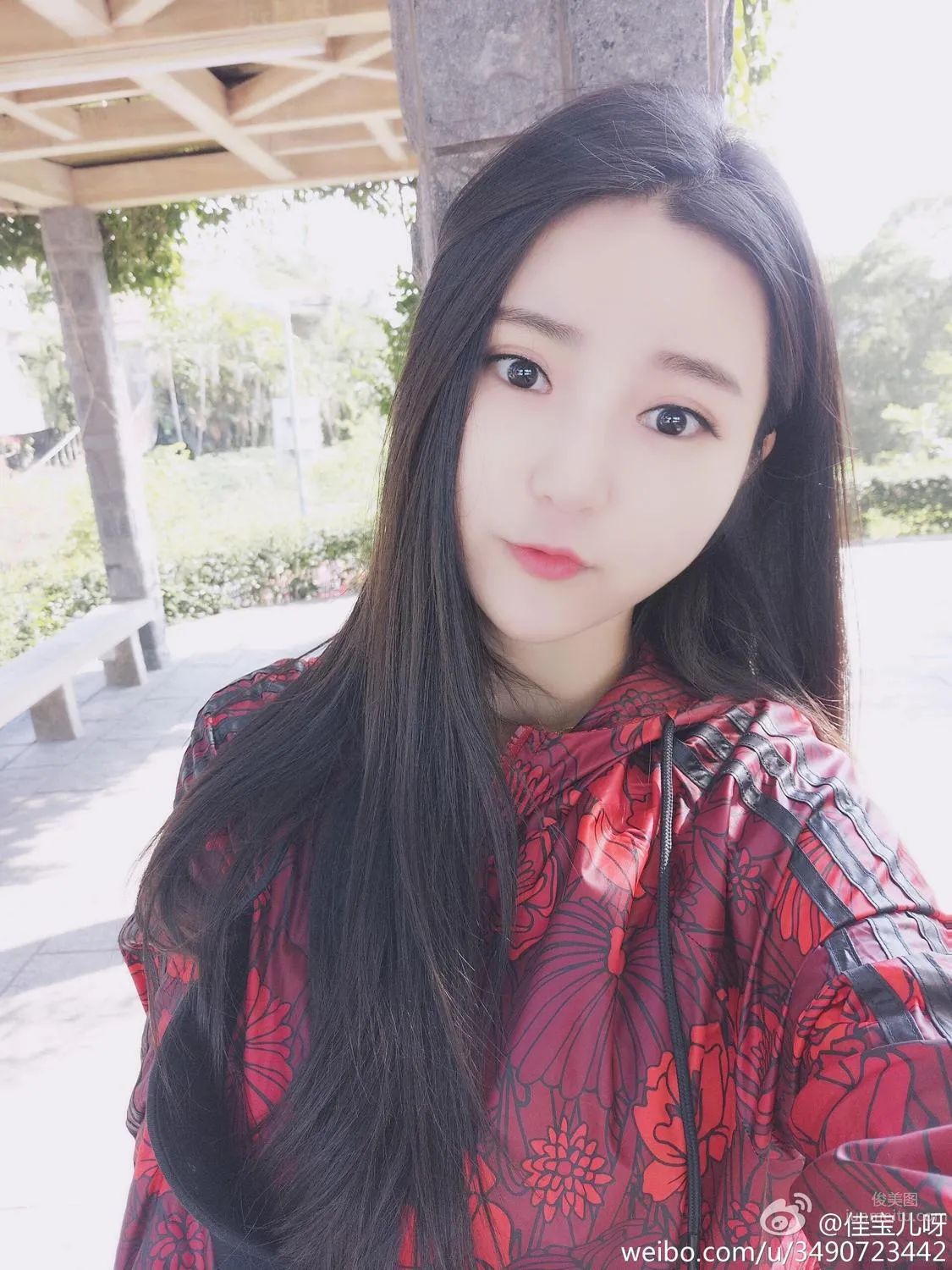 Super Hot Live Streamer Jia Baoer, Temperament and Looks Beyond Reproach photo 22
