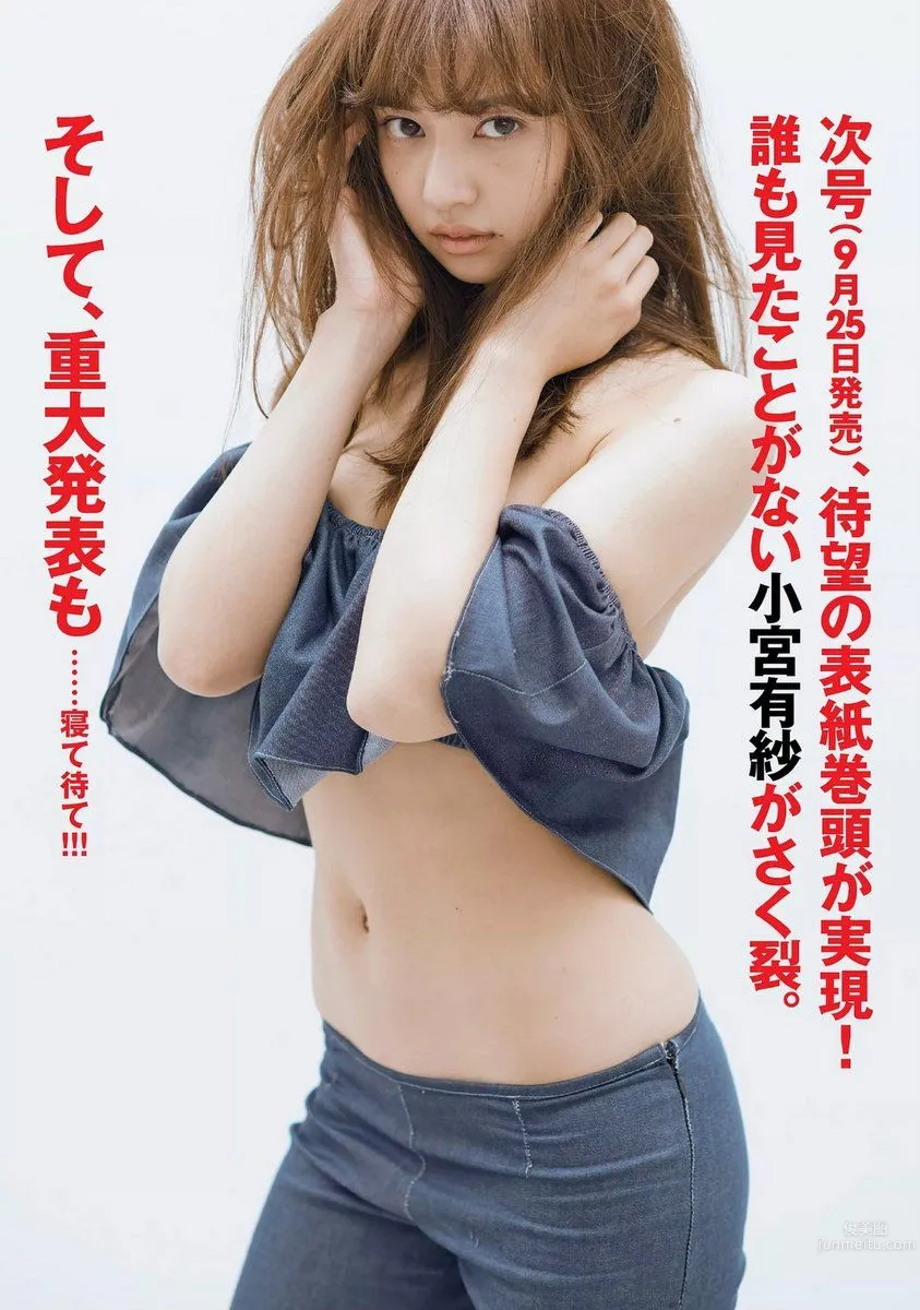 Arisa Komiya, 2017 Weekly Playboy News Poster Collection photo 27