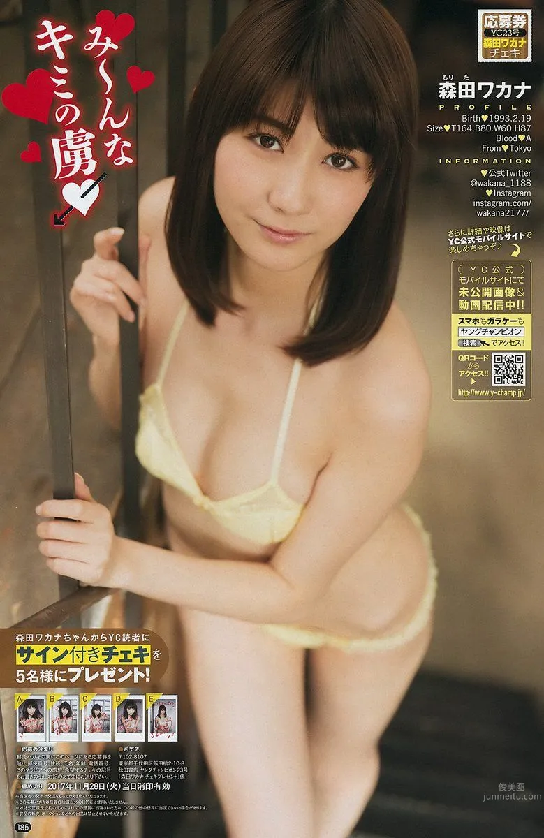 Nanoka: 2017 NEWS photo 12