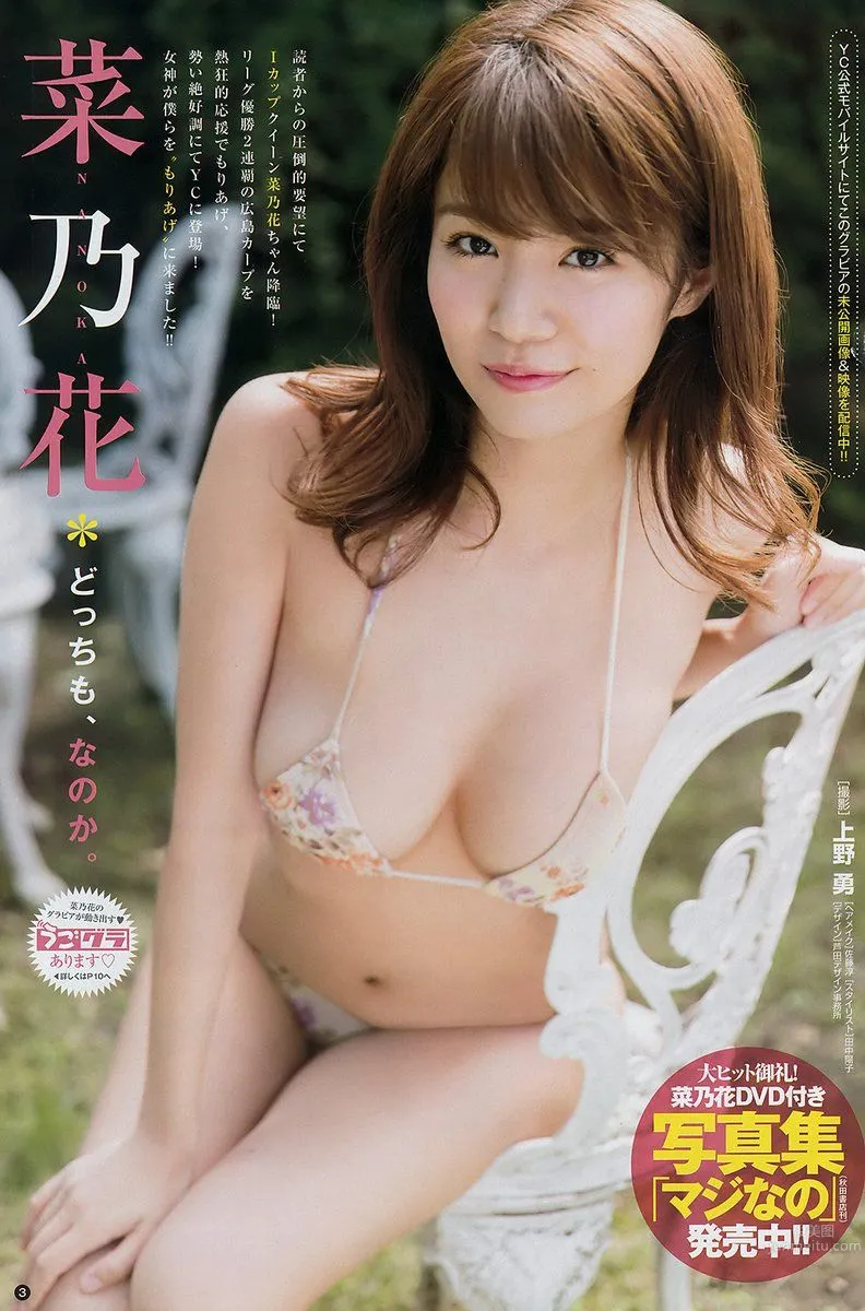 Nanoka: 2017 NEWS photo 1