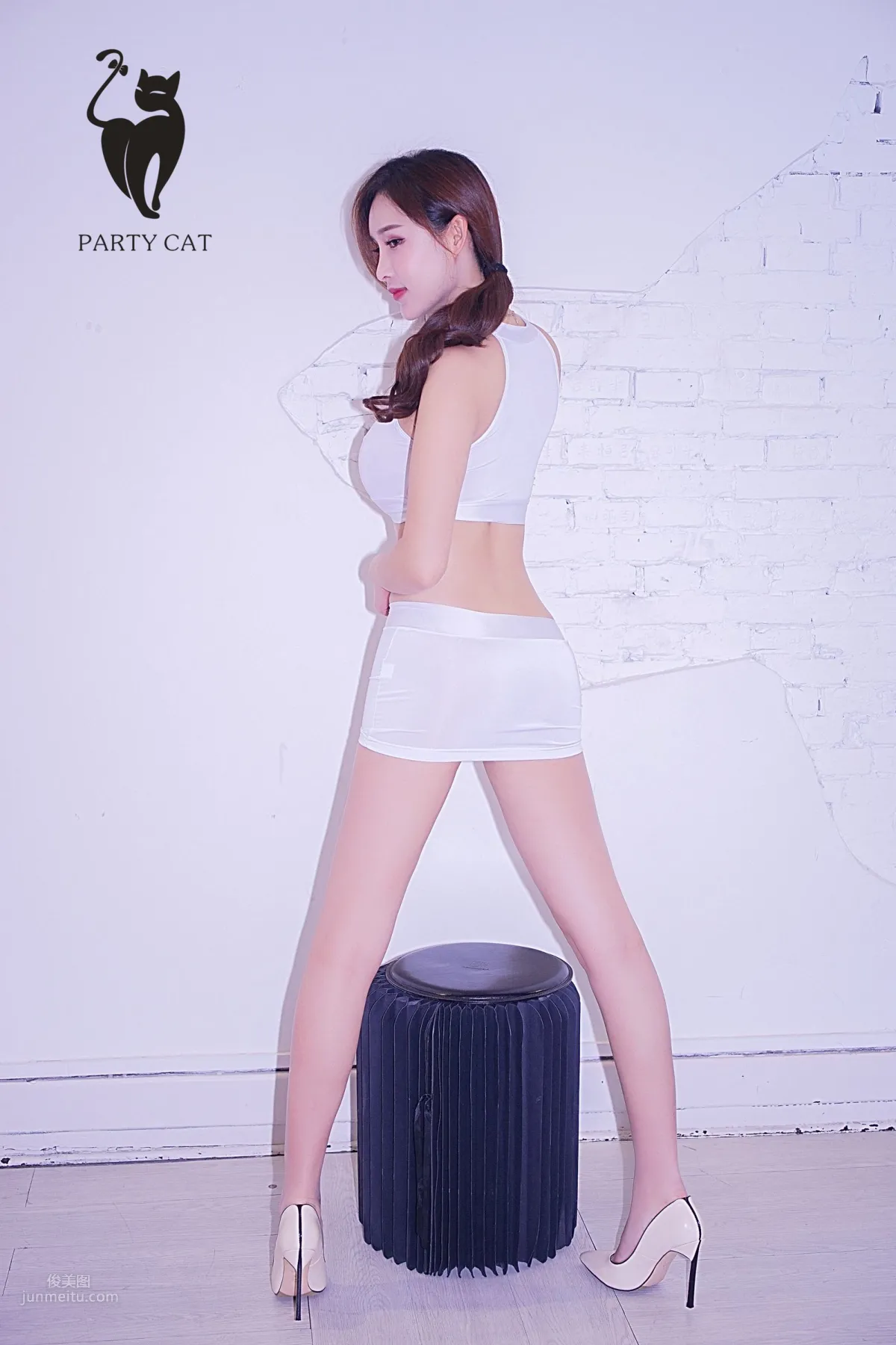 土肥圓矮挫窮- [PartyCat轟趴貓] No.065 15