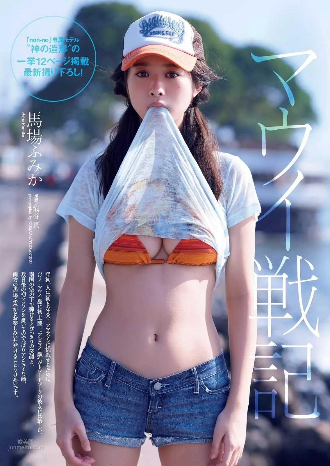Fumika Baba - 2017 Japanese Magazine Photo Collection photo 50