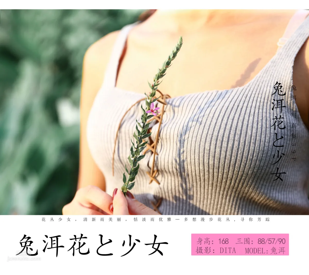 兔洱- [YALAYI雅拉伊] Y026《花儿少女》_0