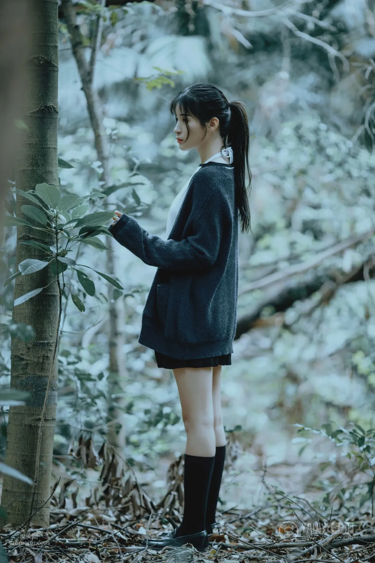 A Xi: YALAYI No. 183 photo 14