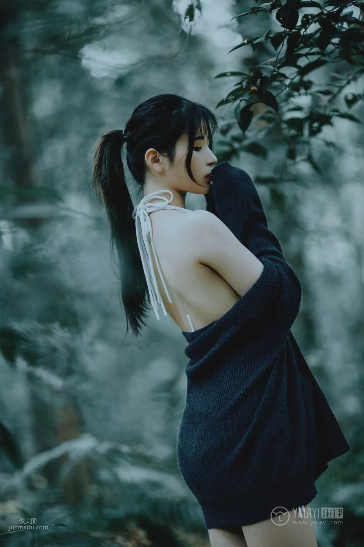 A Xi: YALAYI No. 183 photo 46