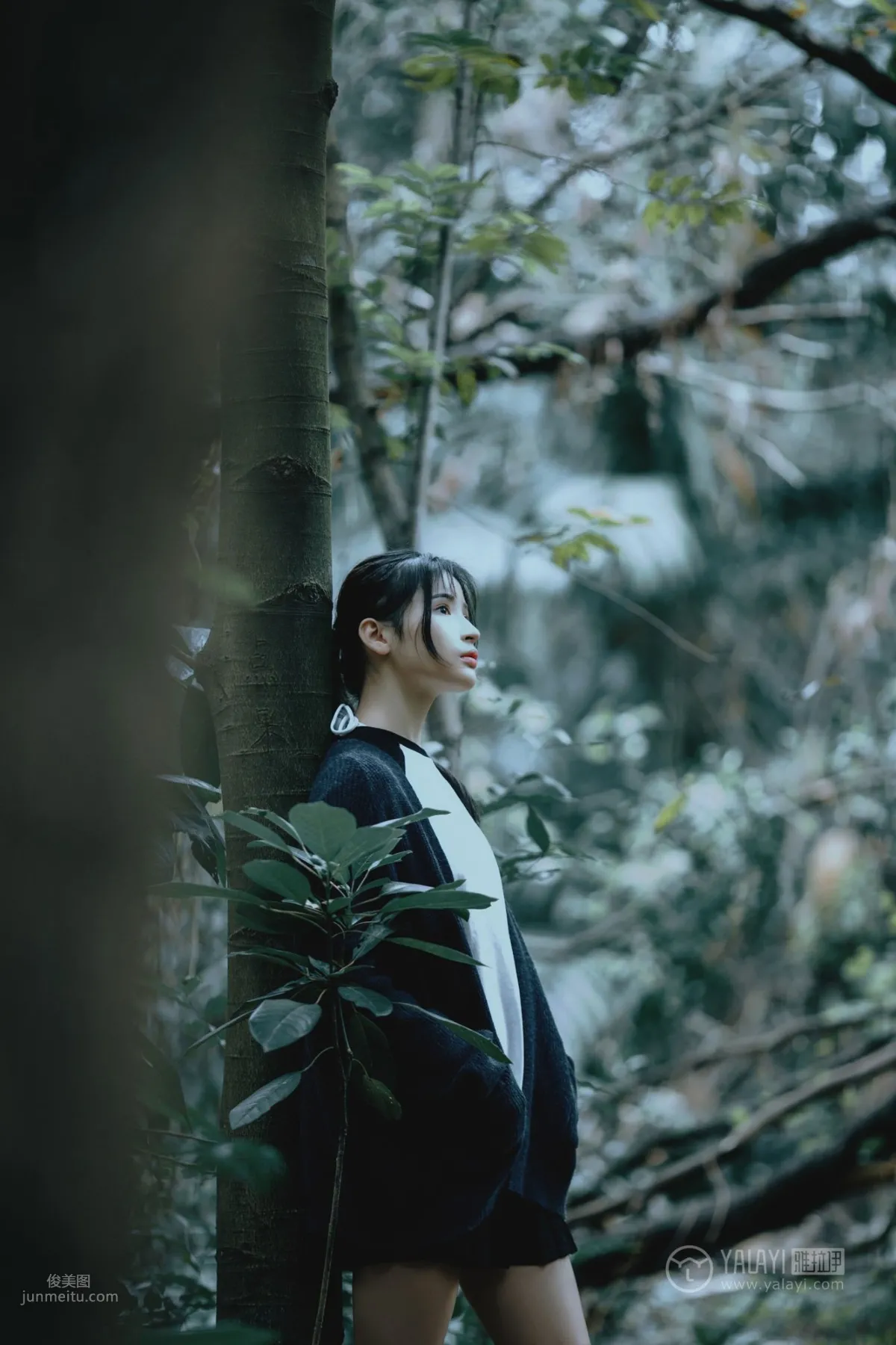 A Xi: YALAYI No. 183 photo 9