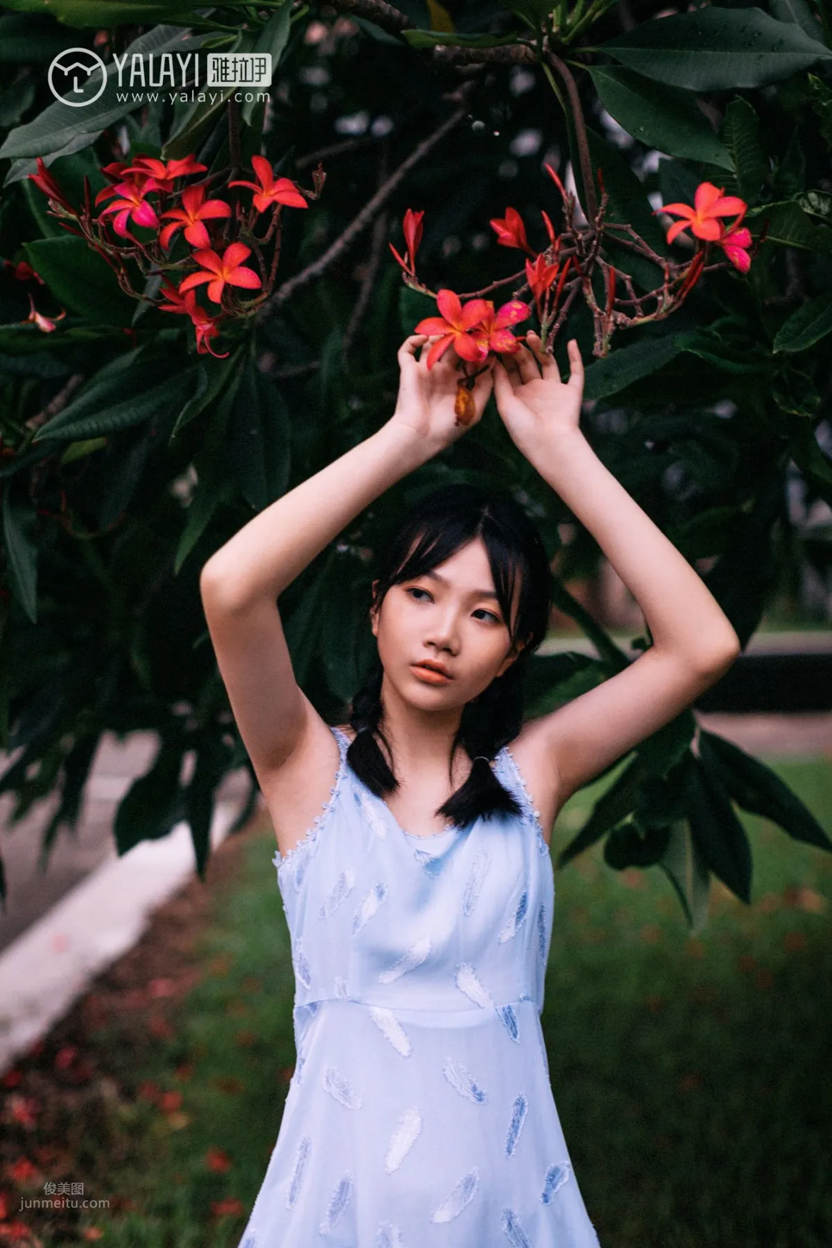 [YALAYI雅拉伊] 2019.02.28 No.082 綠喜青花 Doubleyu 40