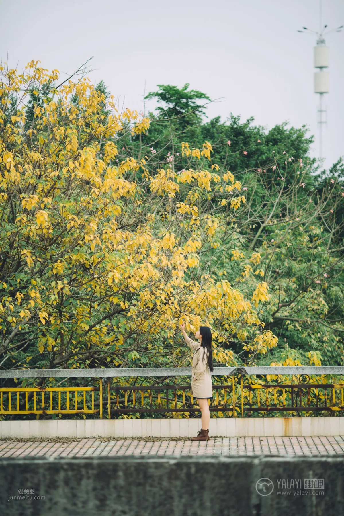 [YALAYI] 2019.01.30 No.179 Caramel Girl, A Xi photo 23