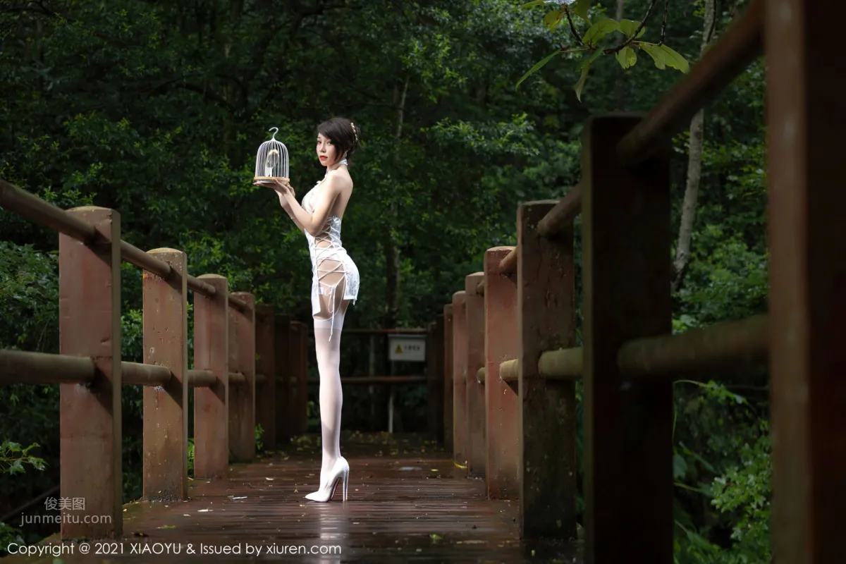 Zhizhi Booty, Mountains and Forest, Classical Elegant Romantic Qipao photo 35