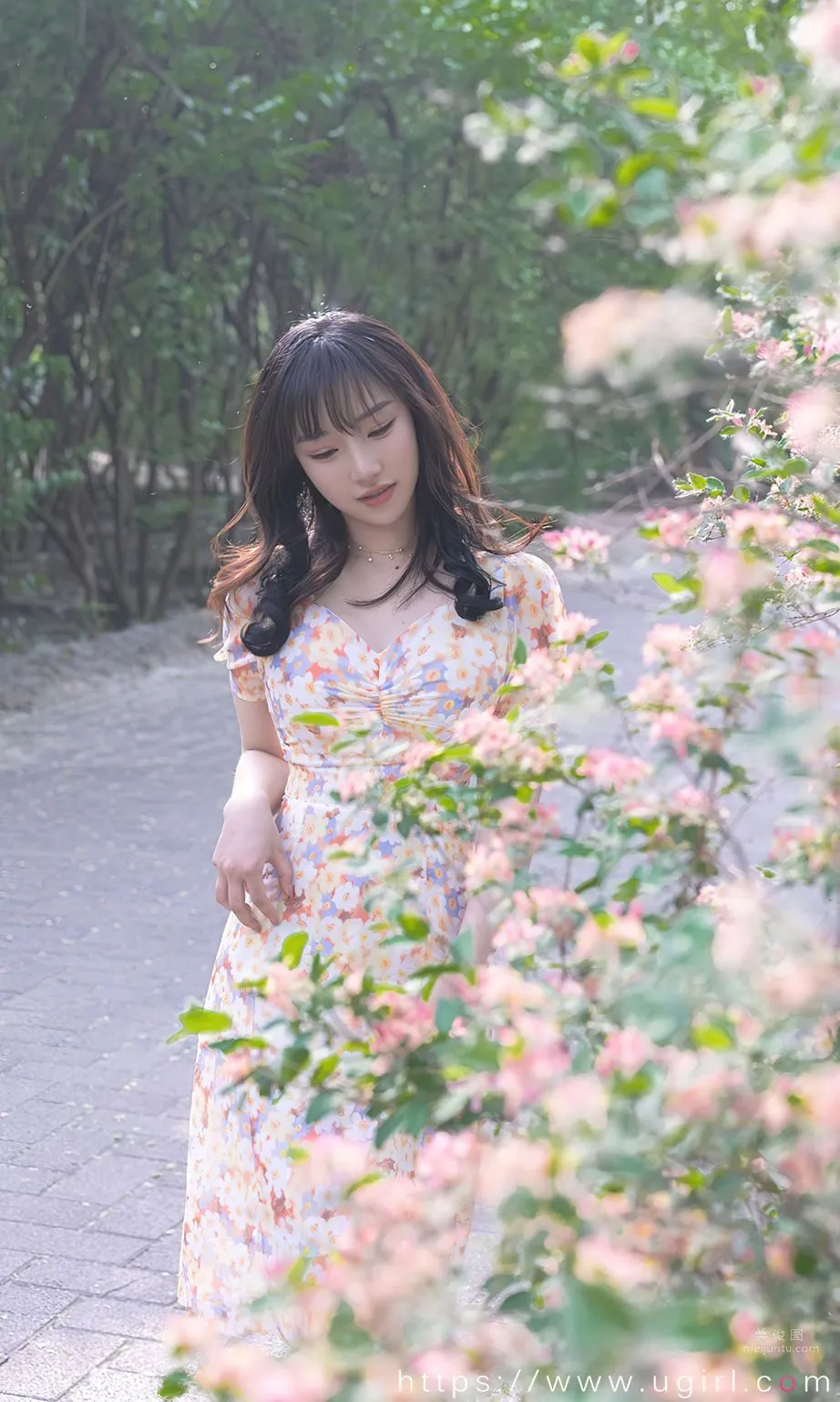 西門小玉花開荼蘼 11