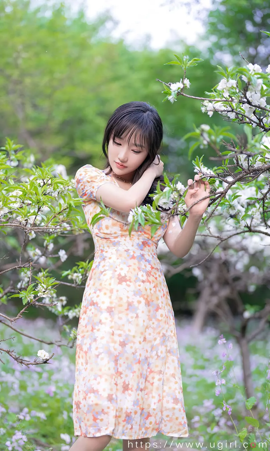 西門小玉花開荼蘼 8