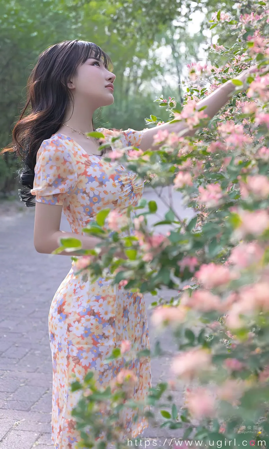 西門小玉花開荼蘼 5