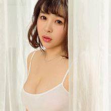金贝贝