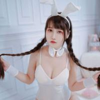 不呆貓