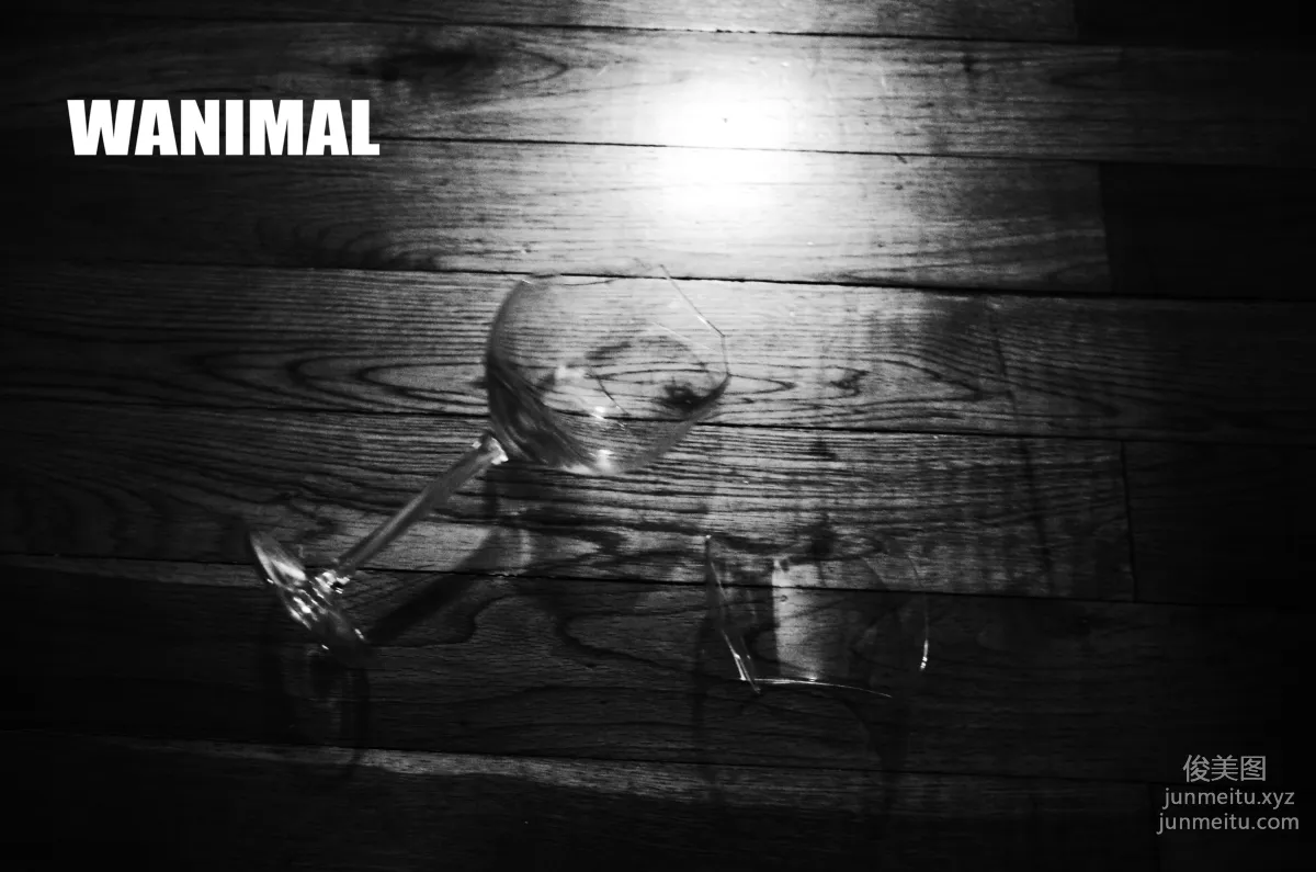 [WANIMAL王動] 2016年05月作品集 3