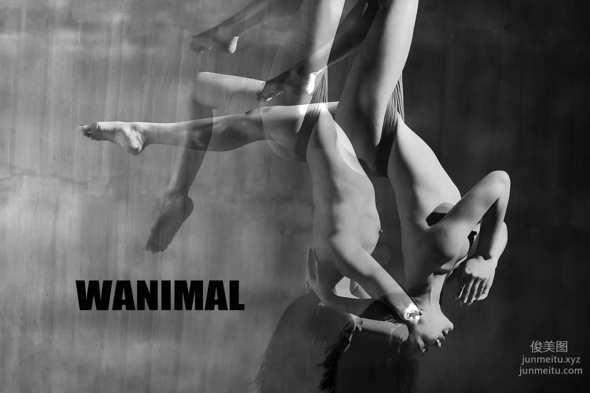 [WANIMAL王動] 2016年12月作品集 5