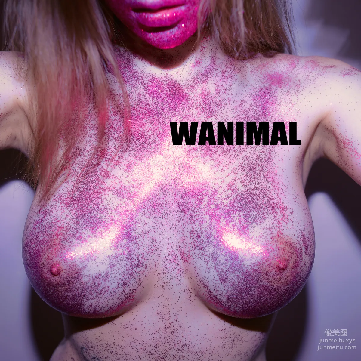 [WANIMAL王動] 2016年12月作品集 13