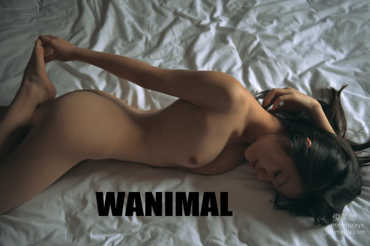 [WANIMAL王動] 2016年12月作品集 14