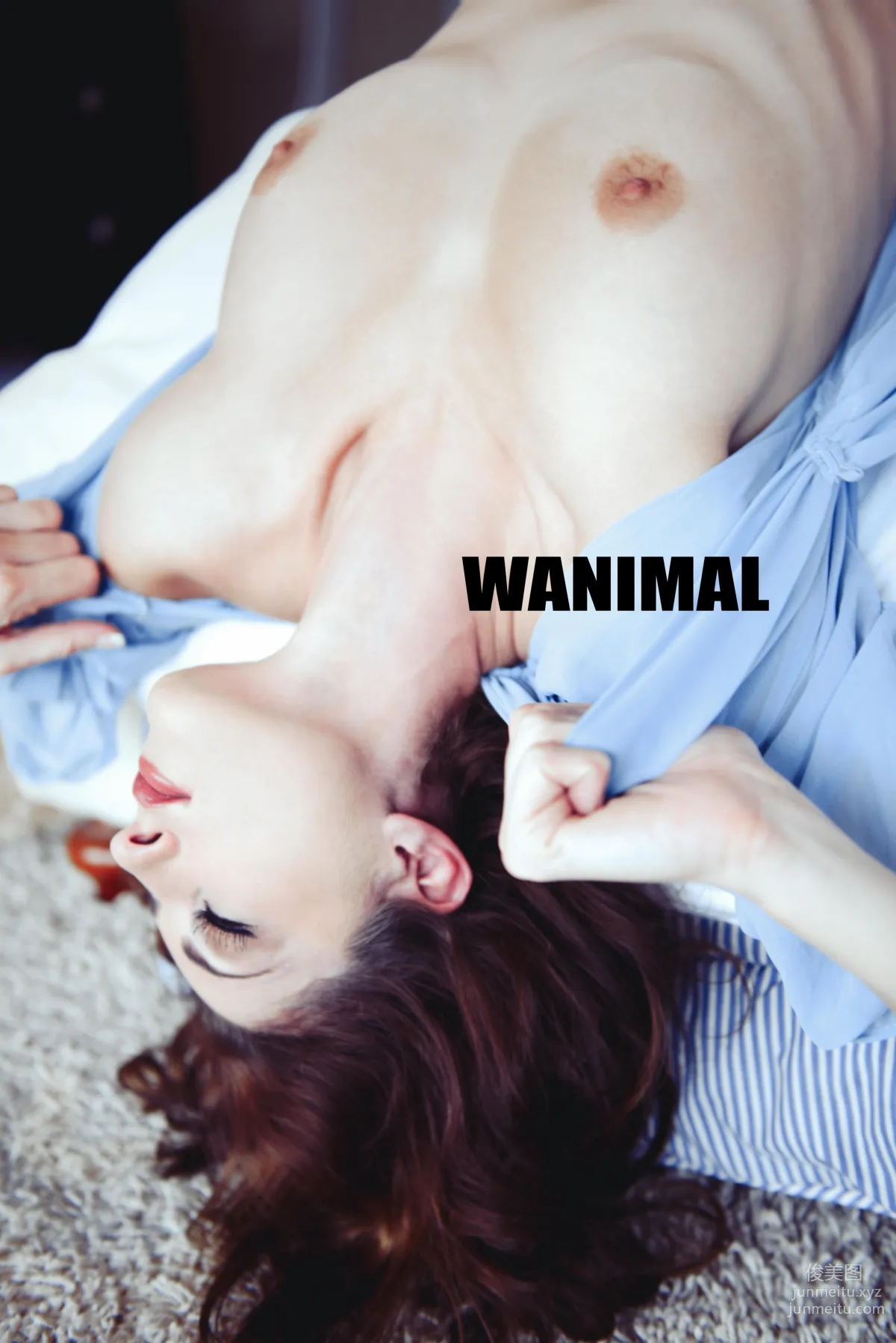 [WANIMAL王動] 2017年01月作品集 11
