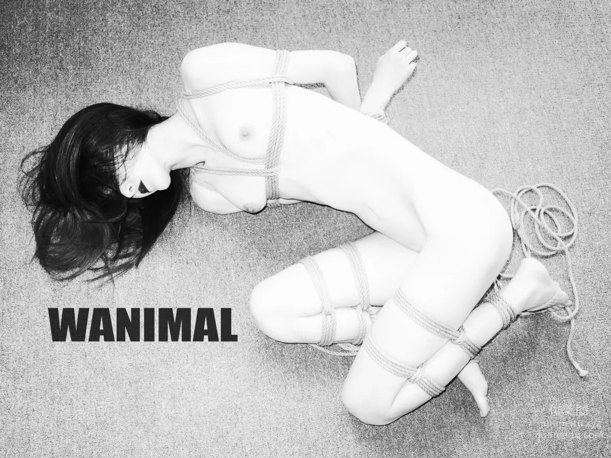 [WANIMAL王動] 2017年03月作品集 80