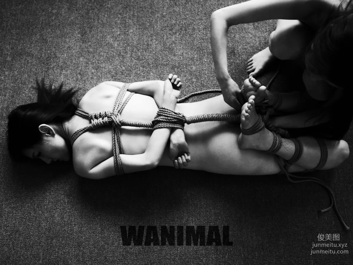[WANIMAL王動] 2017年03月作品集 81