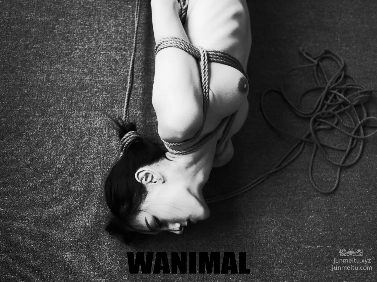 [WANIMAL王動] 2017年03月作品集 82