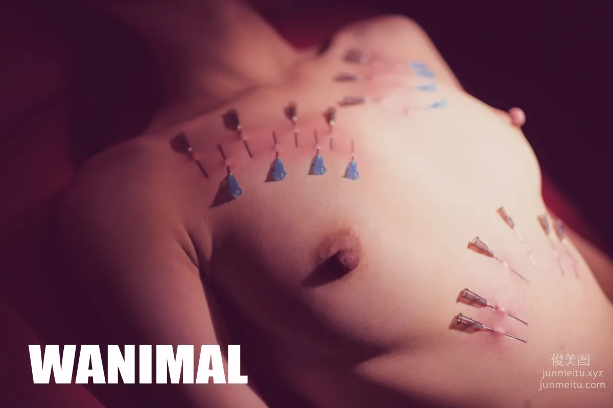 [WANIMAL王動] 2017年03月作品集 118