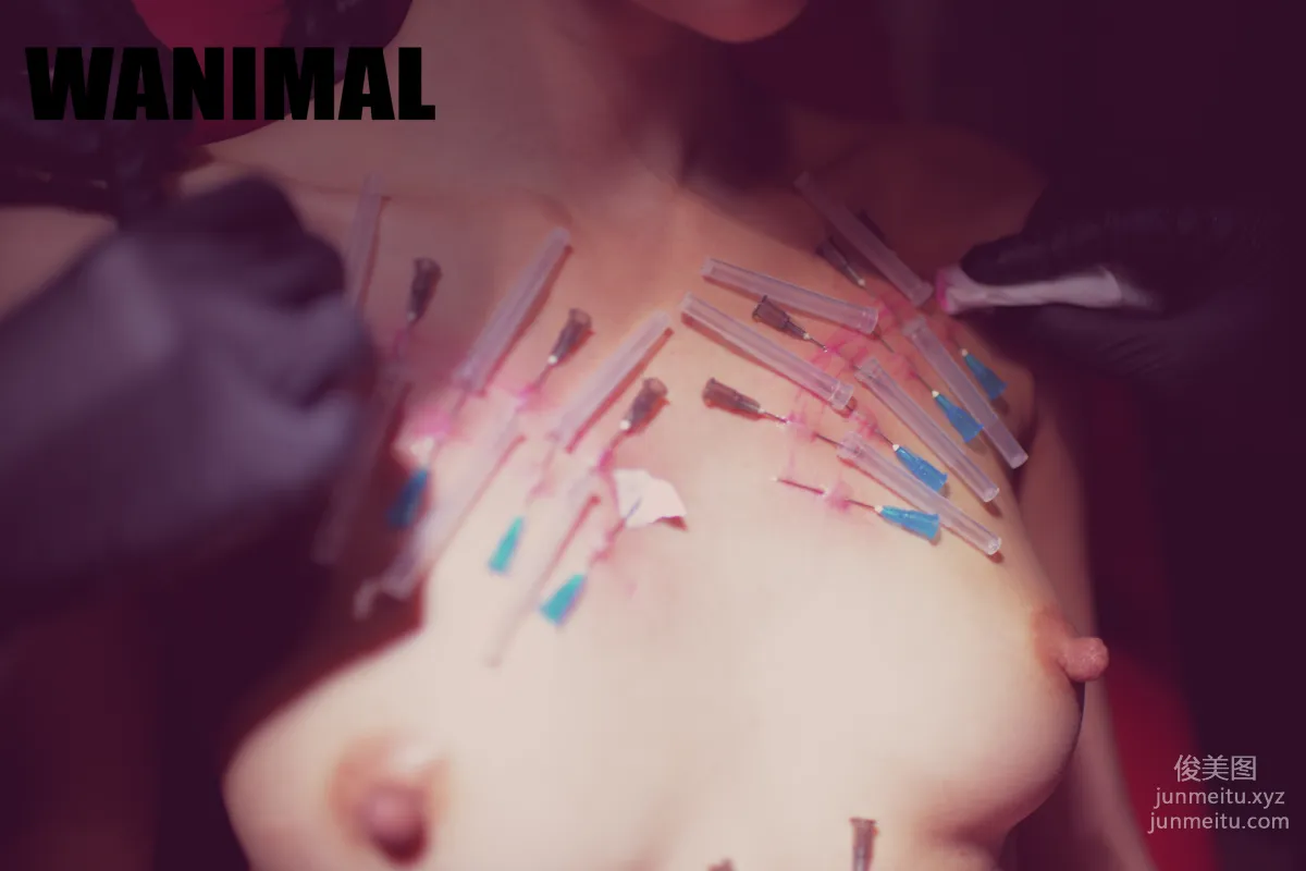 [WANIMAL王動] 2017年03月作品集 119