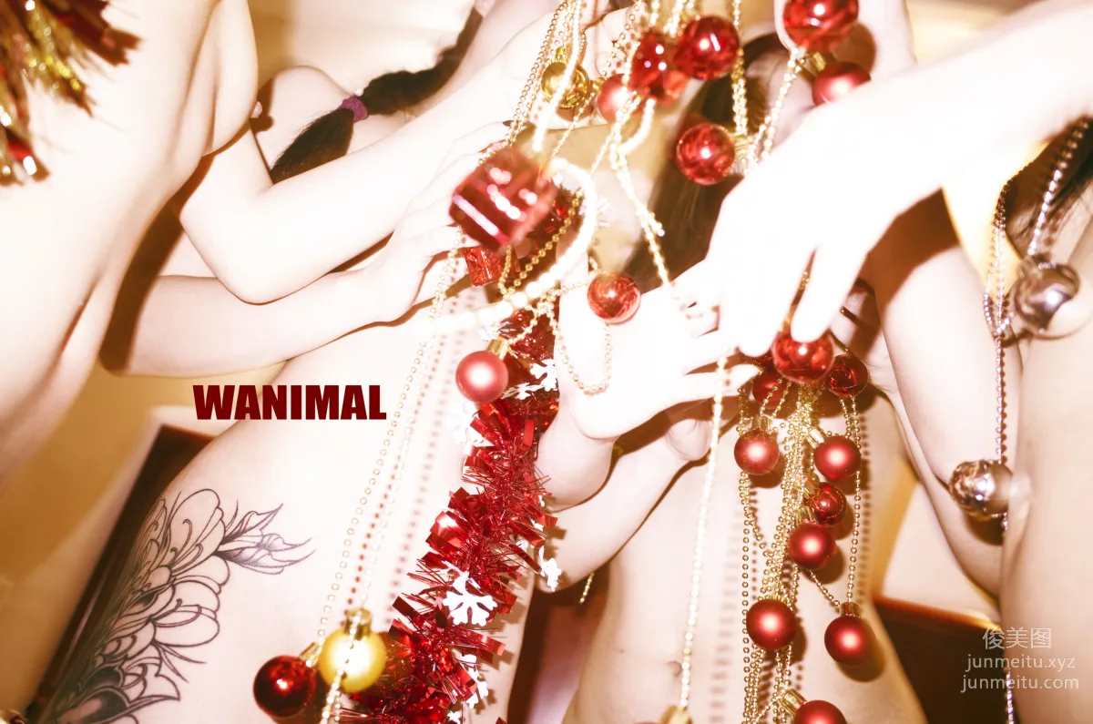 [WANIMAL王動] 2018年01月作品集 1