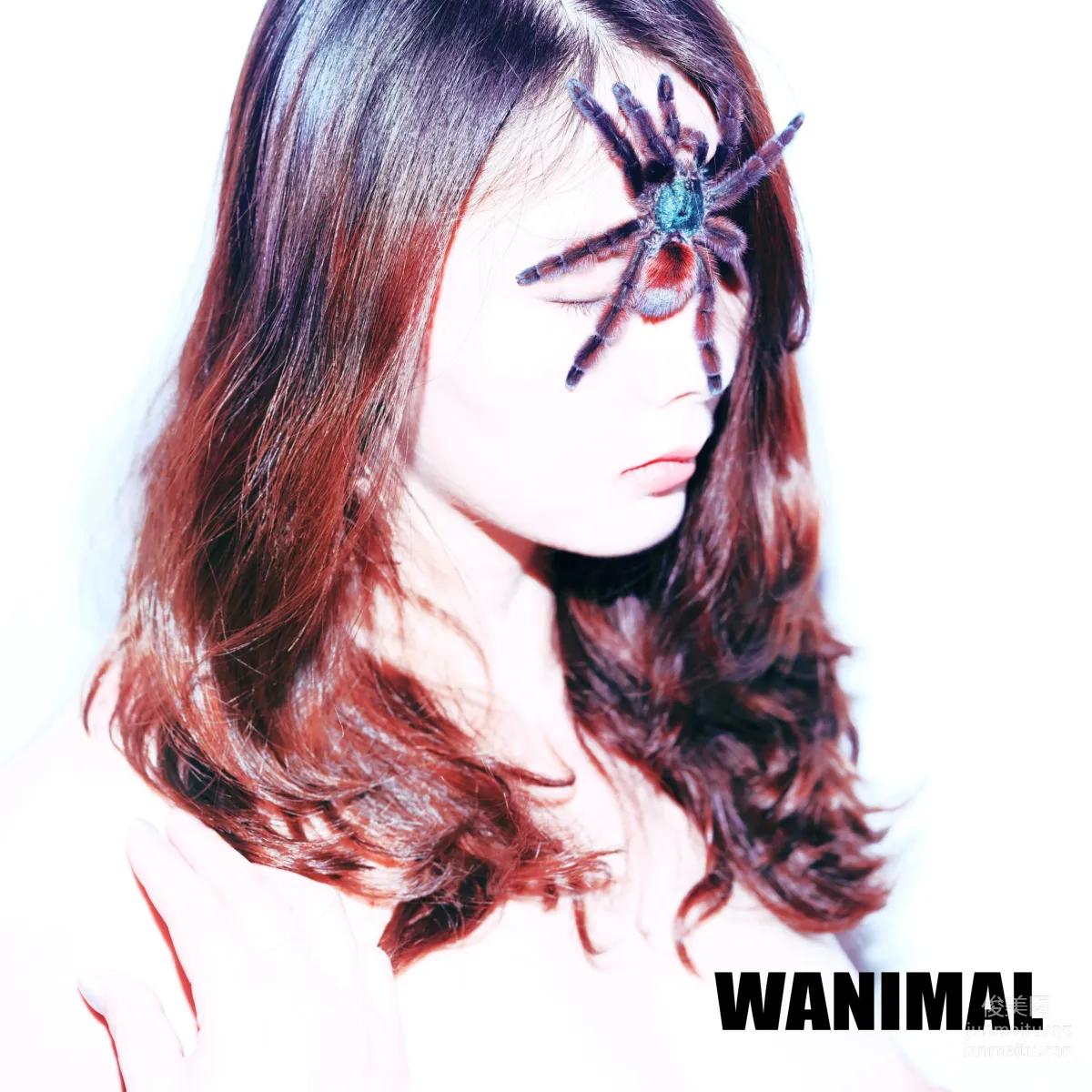 [WANIMAL王動] 2018年01月作品集 26