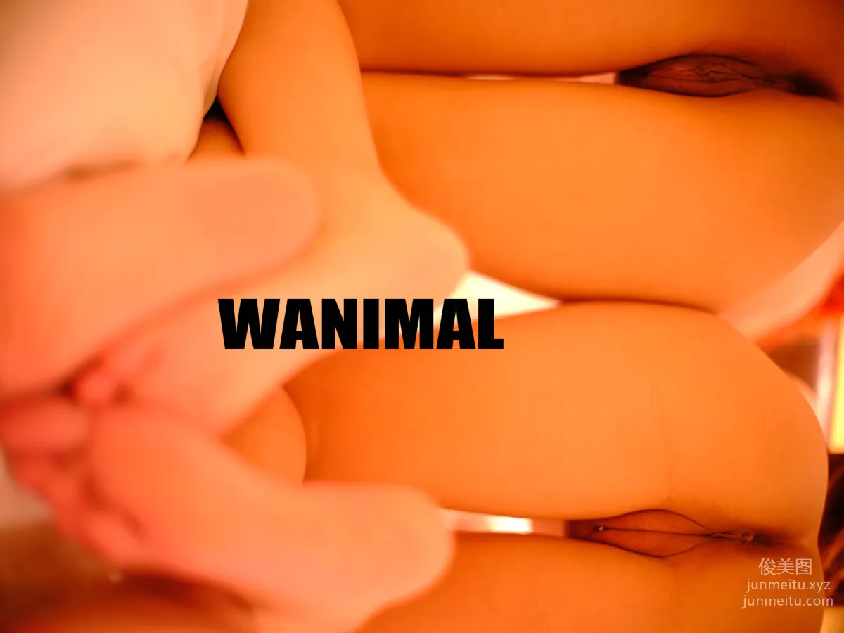 [WANIMAL王動] 2019年07月作品集 9