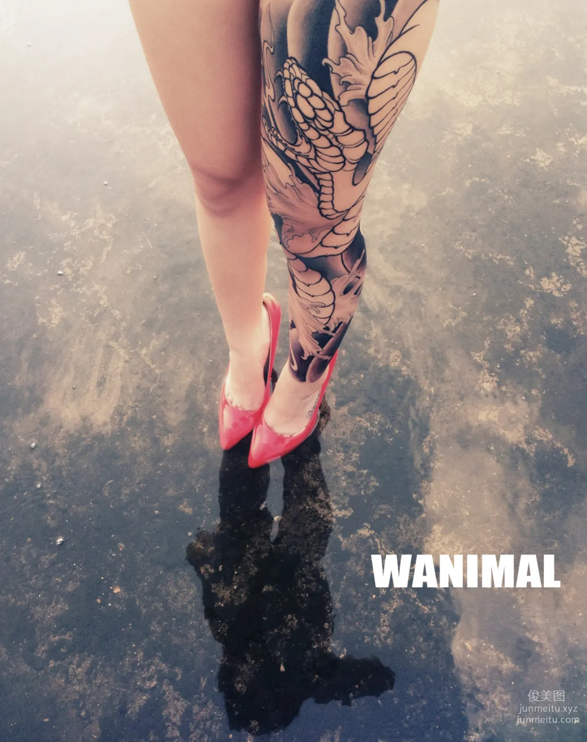 Tumblr Blog Photo Complete Collection [5982P24V2.54G] photo 63
