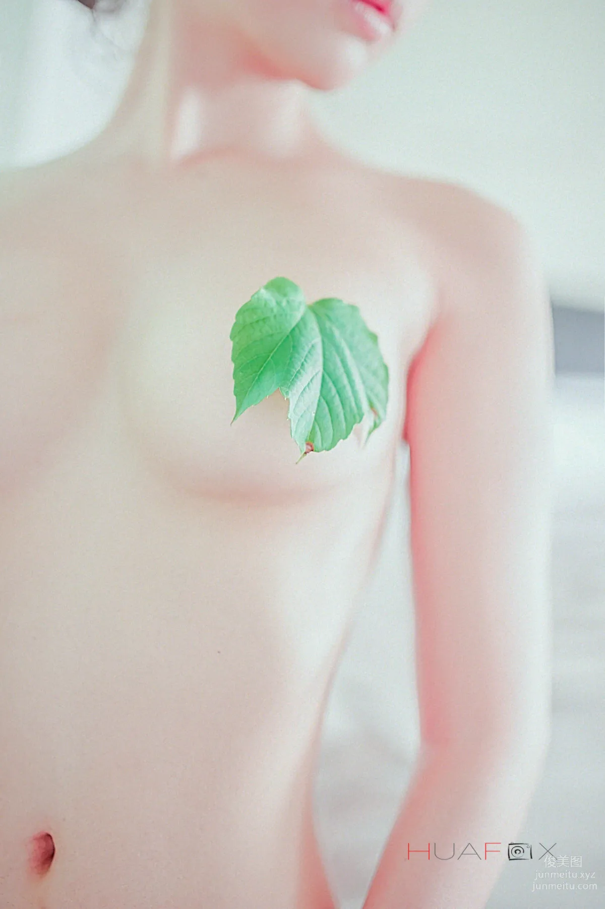 HUAFOX作品 15