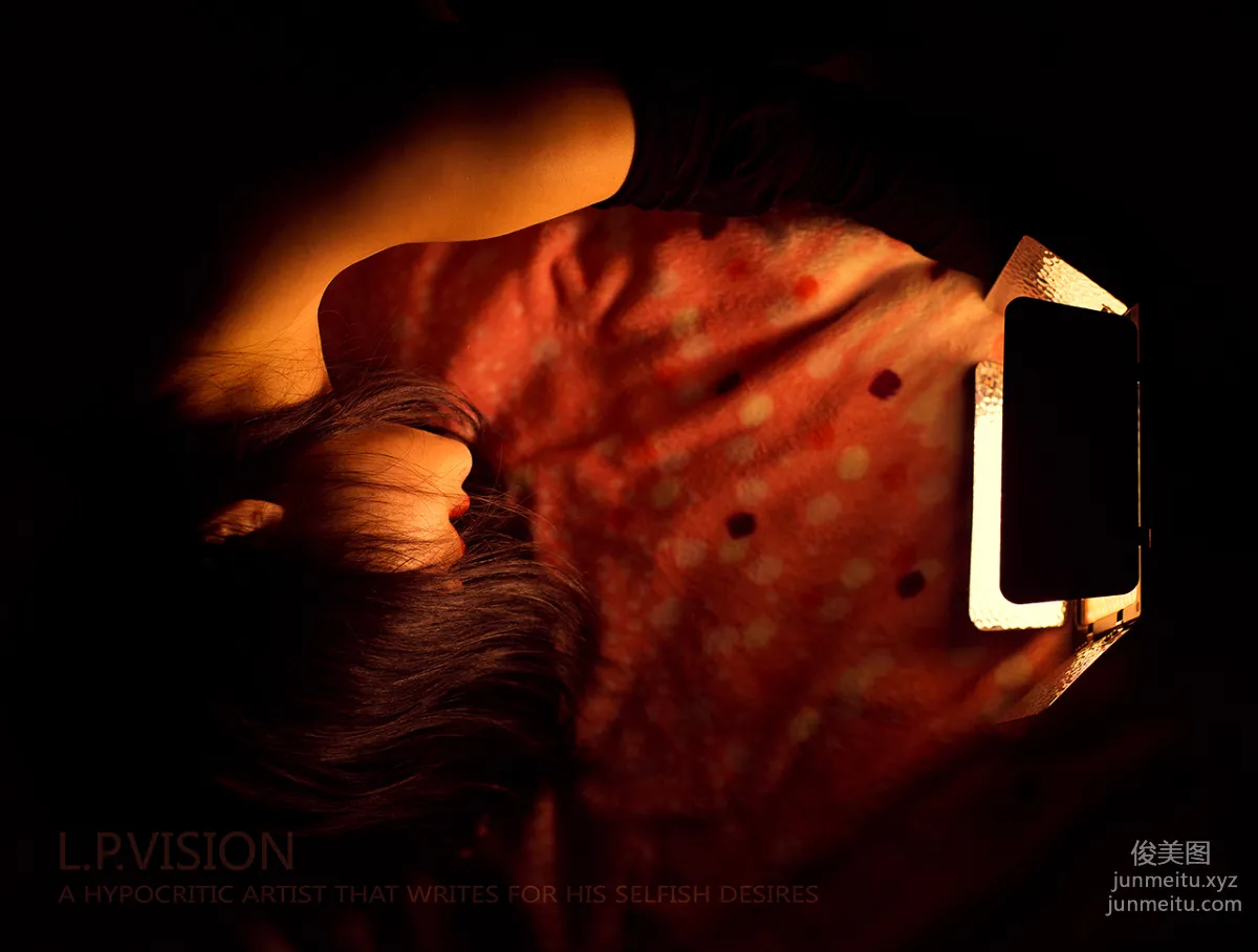 L.P.VISION No. 01 photo 13