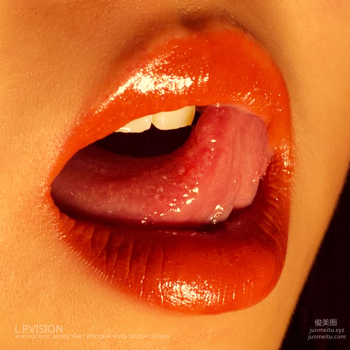 L.P.VISION No. 01 photo 16