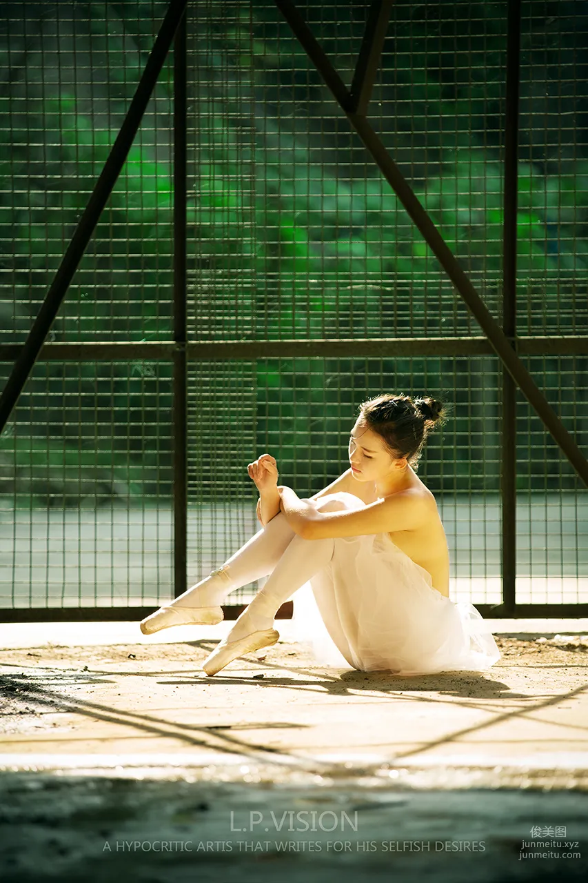 L.P.VISION No. 03 photo 21