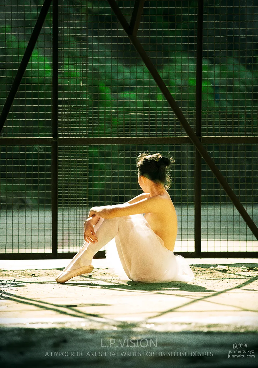 L.P.VISION No. 03 photo 22