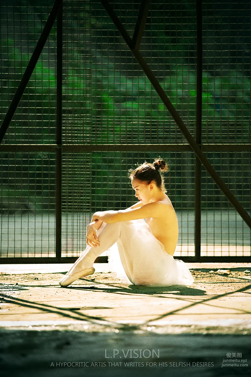 L.P.VISION No. 03 photo 24