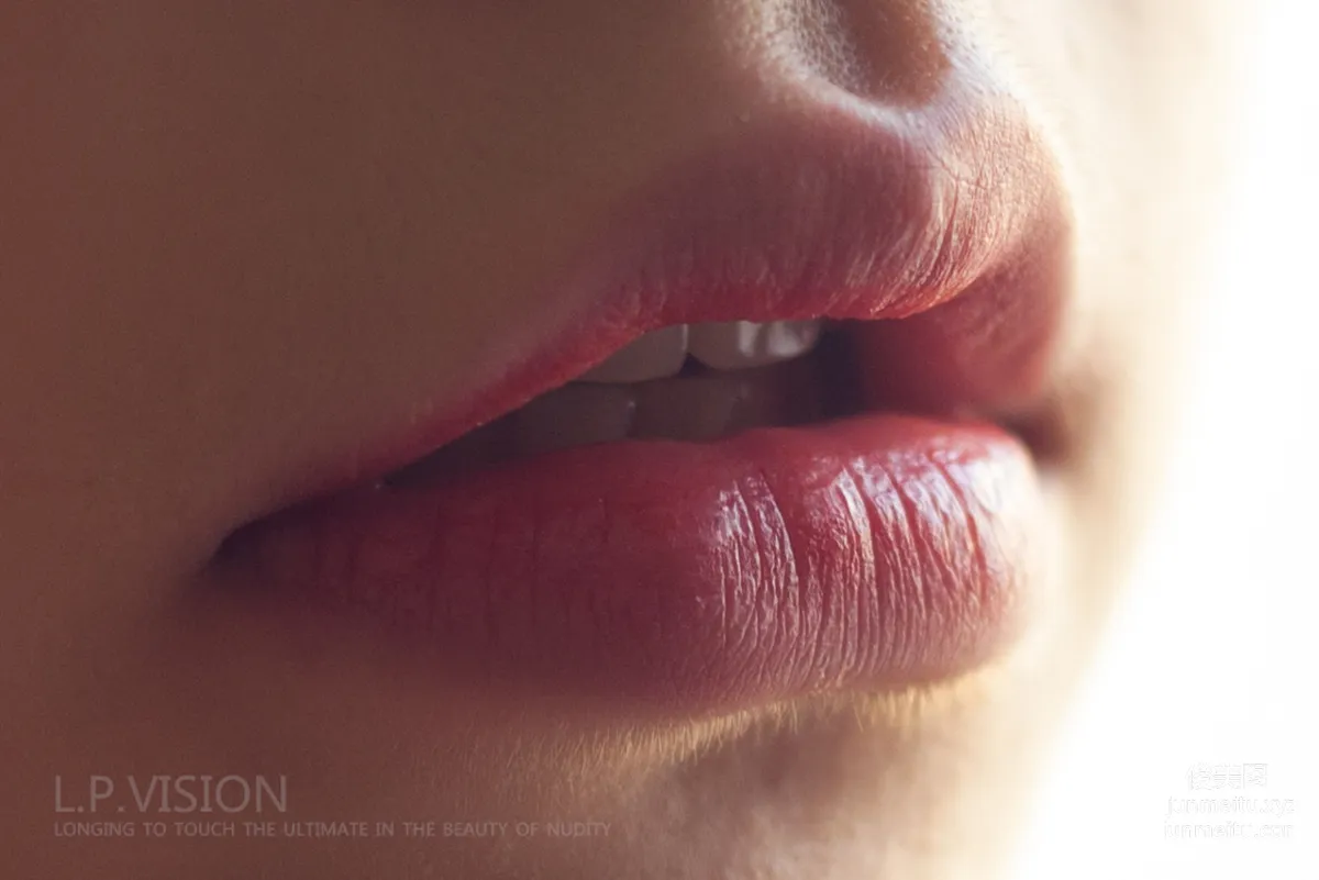 L.P.VISION No. 04 photo 12