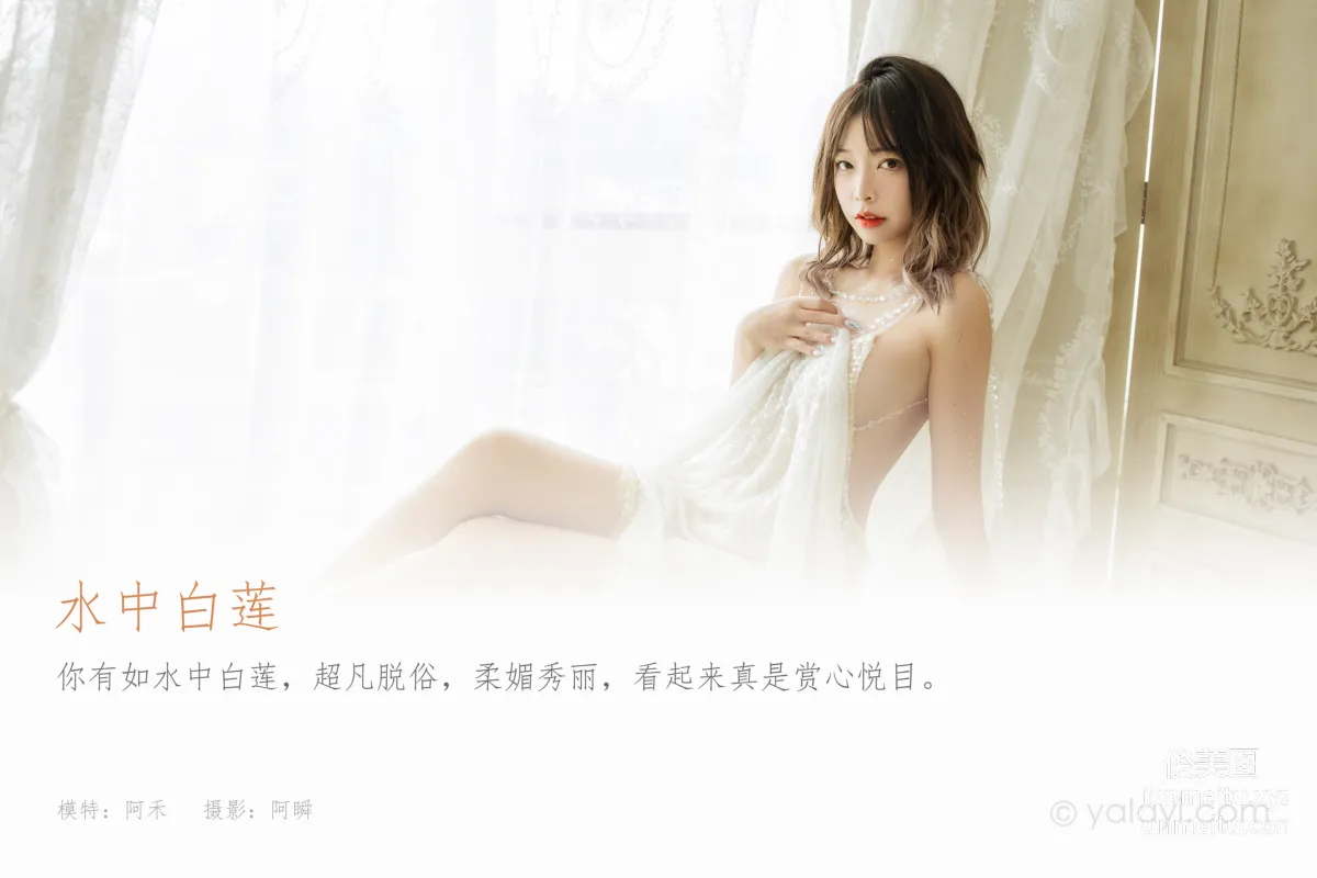 [YALAYI] 2021.11.22 NO.868 White Lotus in Water A He photo 1