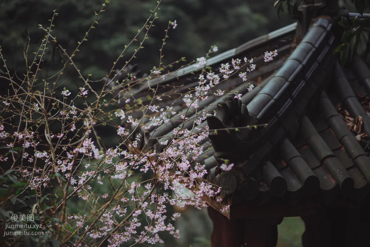 [YiTuYu] 2022.01.11 Drinking in the Mountains Jing Xian photo 12