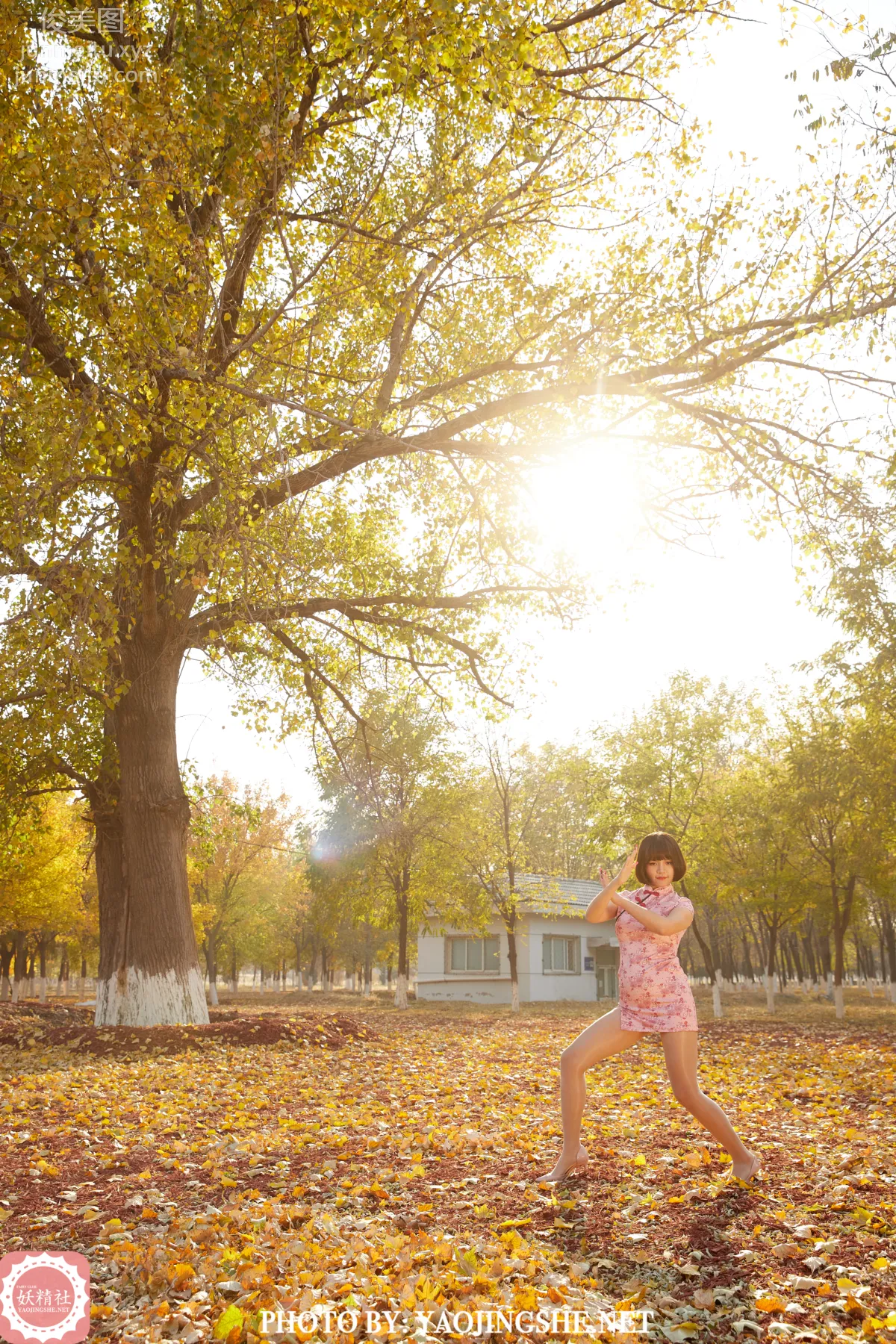 Tang Feifei: Yaojingshe photo 17