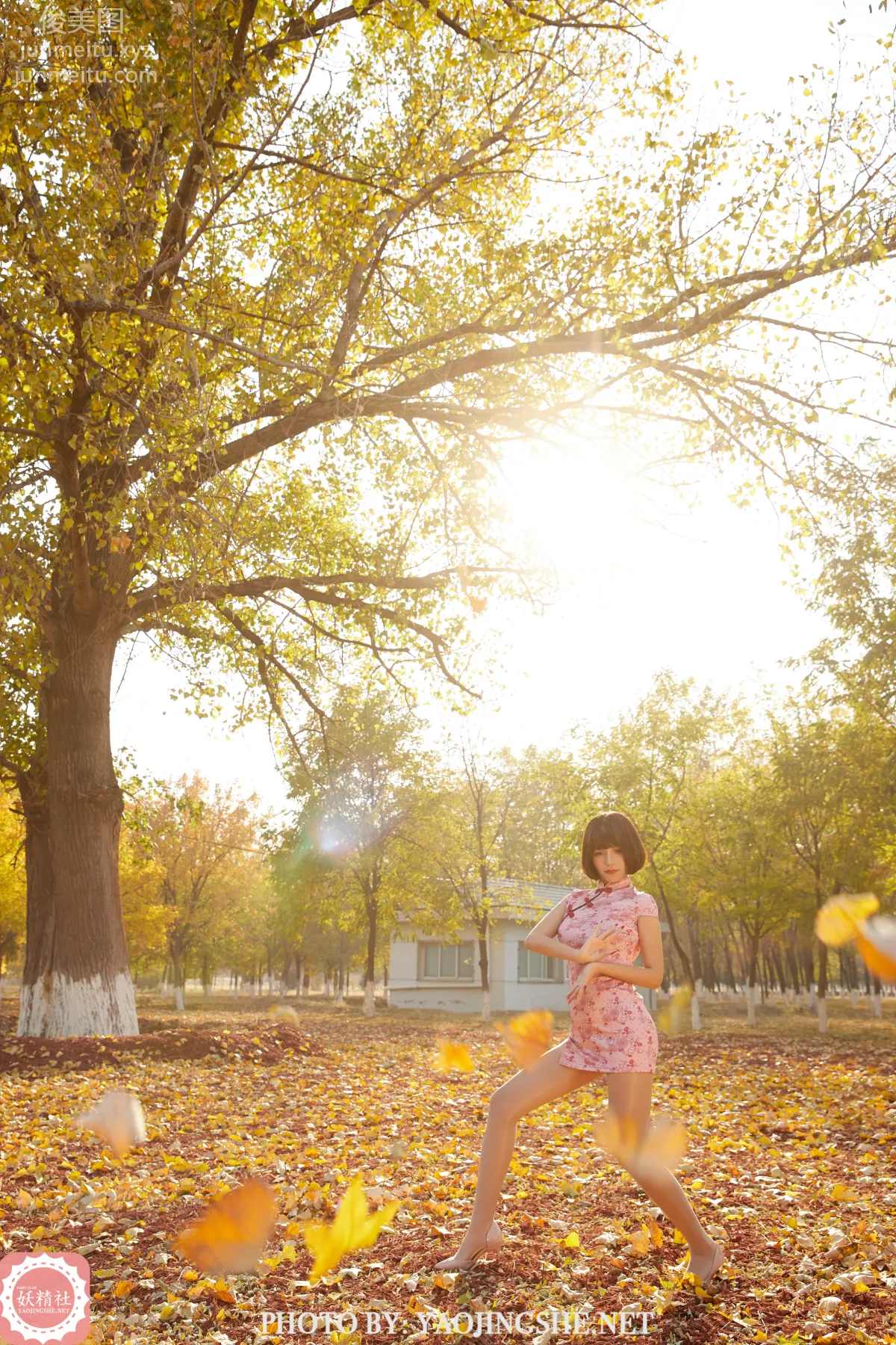 Tang Feifei: Yaojingshe photo 18